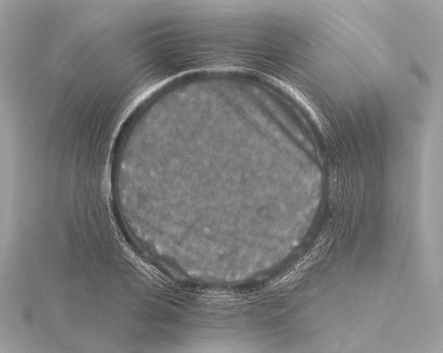 X0000115410935200912011222