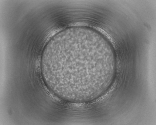 X0000115410937200912011222