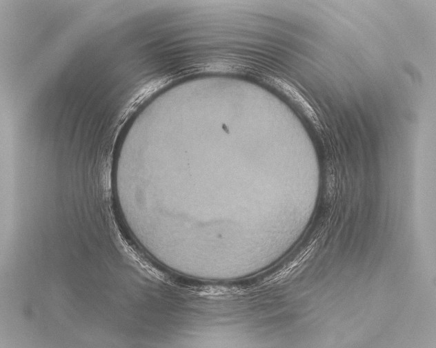 X0000115410938200912011222