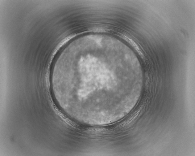 X0000115410939200912011222