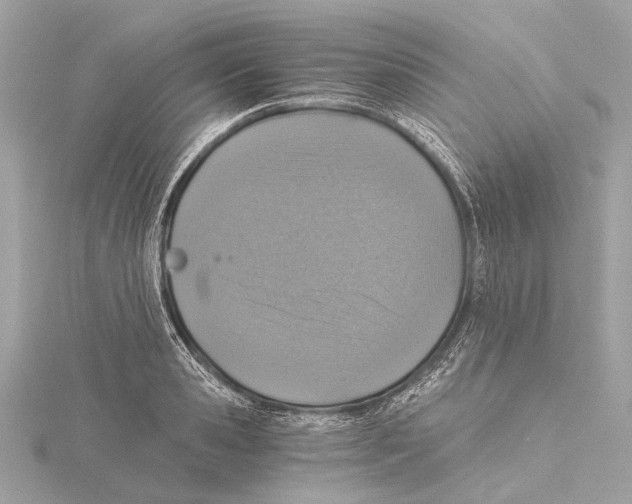 X0000115410941200912011222