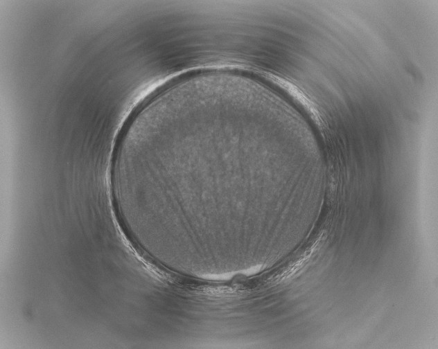 X0000115410943200912011223