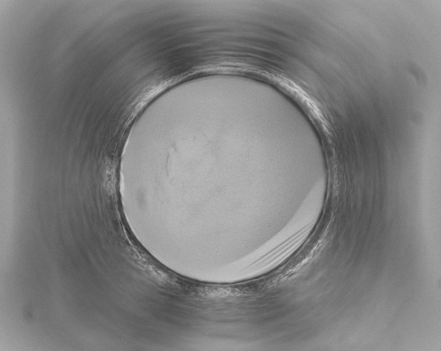 X0000115410945200912011223