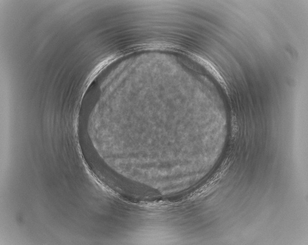 X0000115410946200912011223