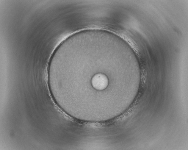 X0000115410950200912011223