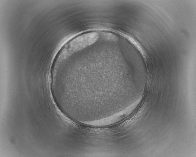 X0000115410951200912011223