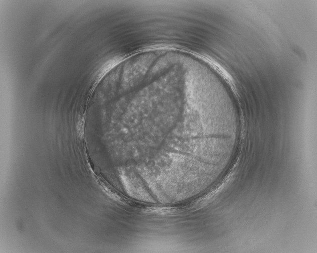 X0000115410953200912011223