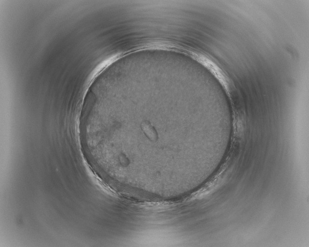 X0000115410954200912011223