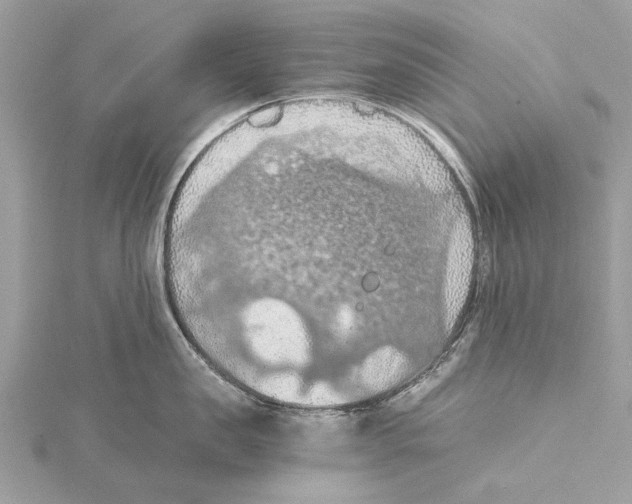 X0000115410957200912011223