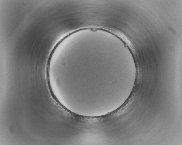 X0000115410958200912011223