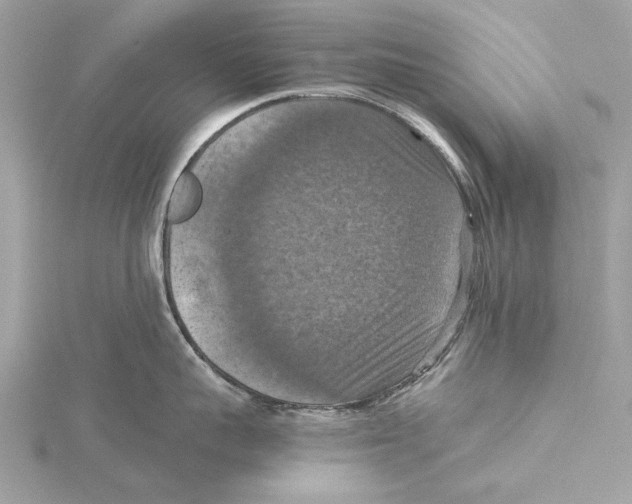 X0000115410959200912011223