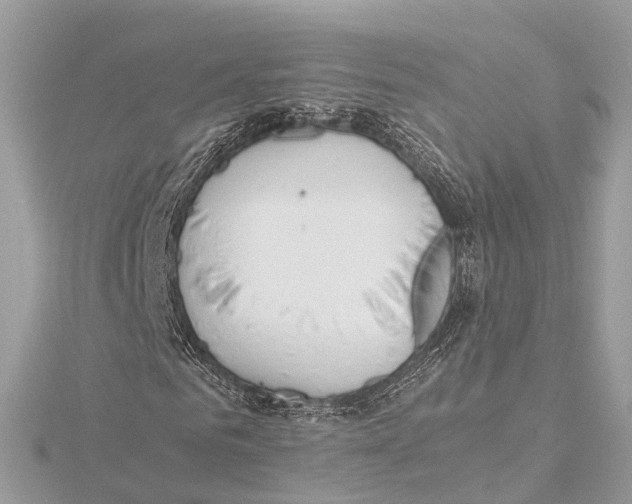 X0000115410961200912011222