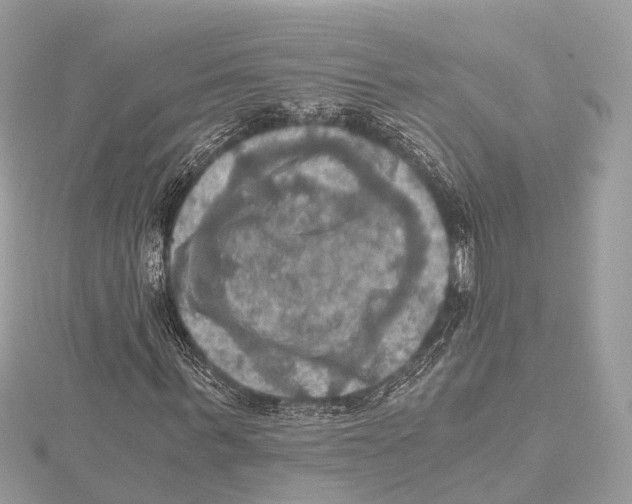 X0000115410963200912011222