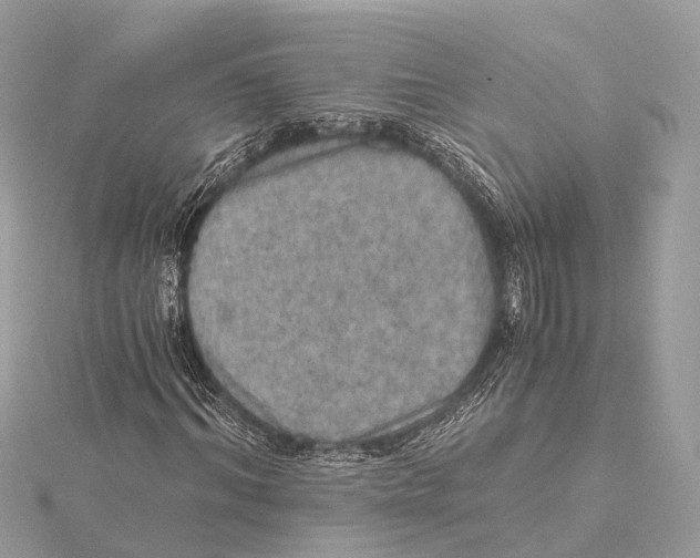 X0000115410964200912011222