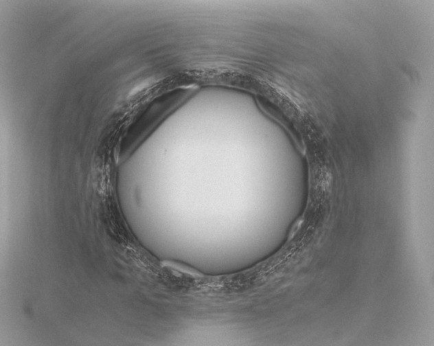 X0000115410965200912011222