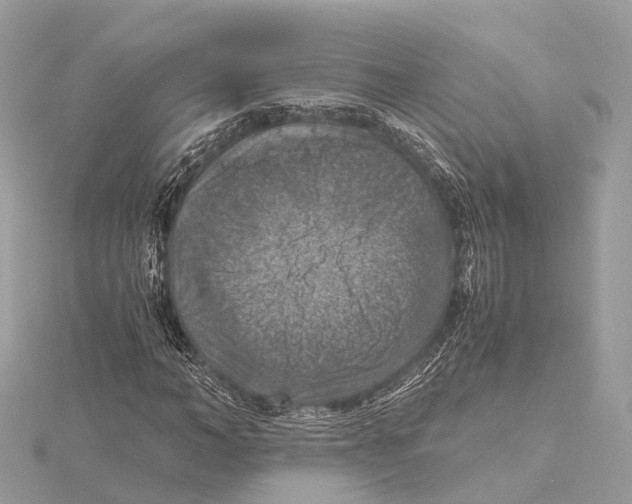 X0000115410966200912011222