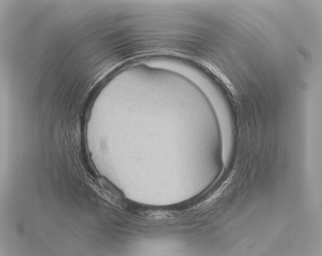 X0000115410969200912011222