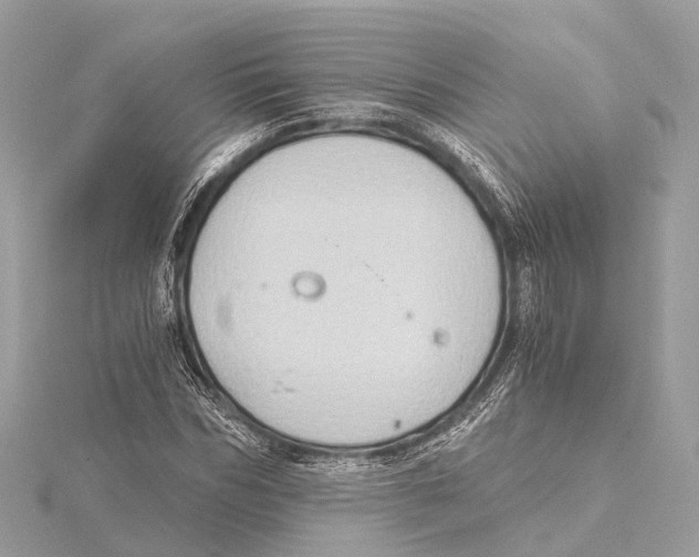 X0000115410970200912011222