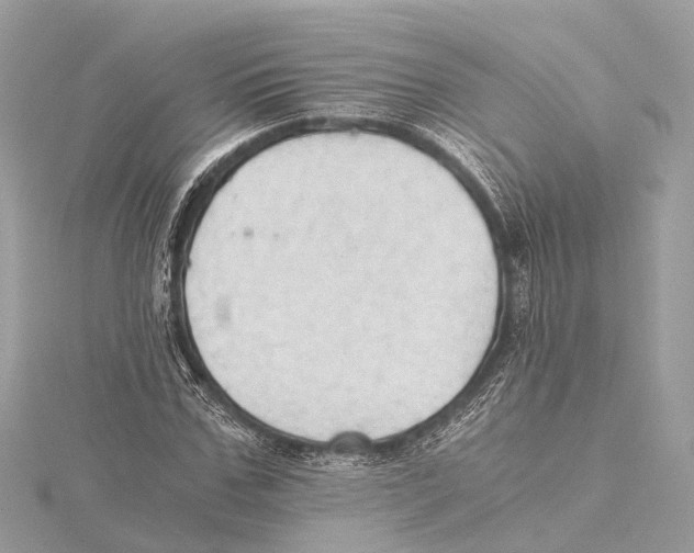 X0000115410971200912011222