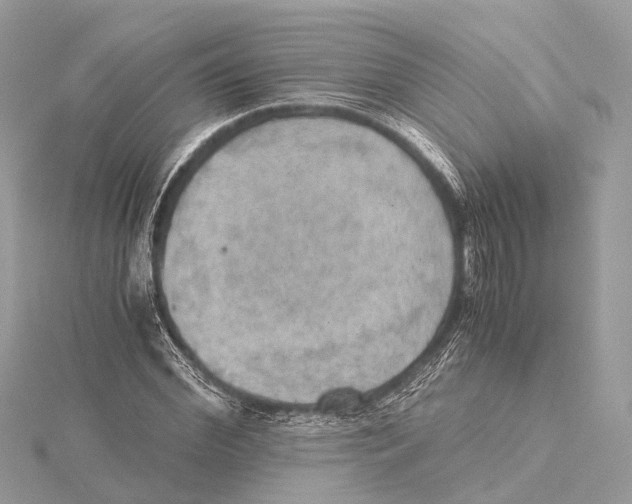 X0000115410972200912011222