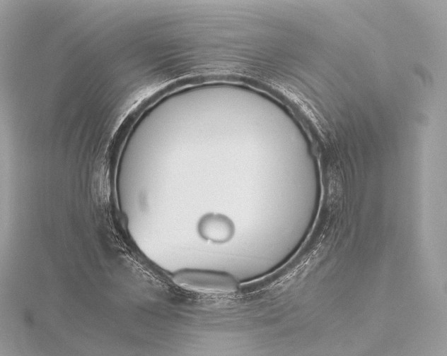 X0000115410973200912011222