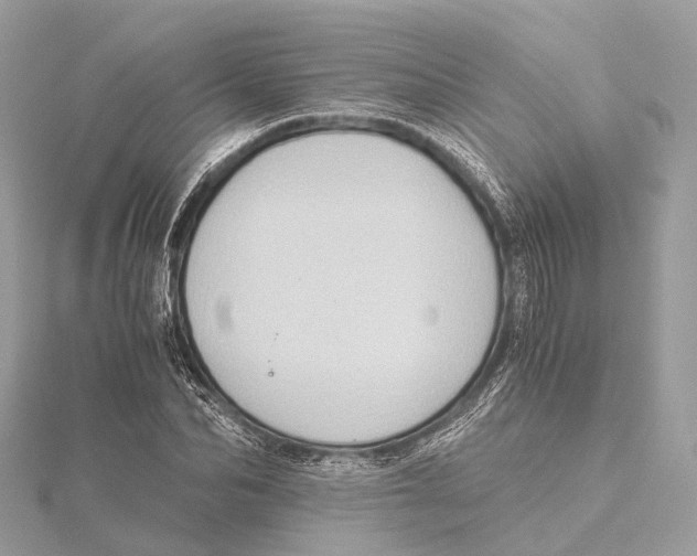 X0000115410974200912011222