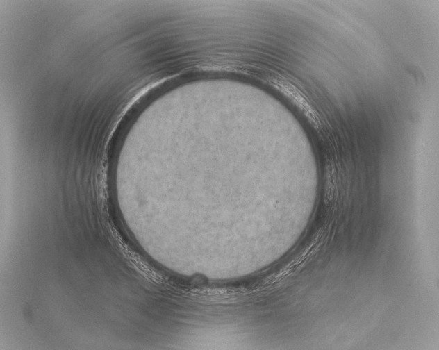 X0000115410976200912011222