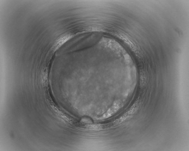 X0000115410977200912011222