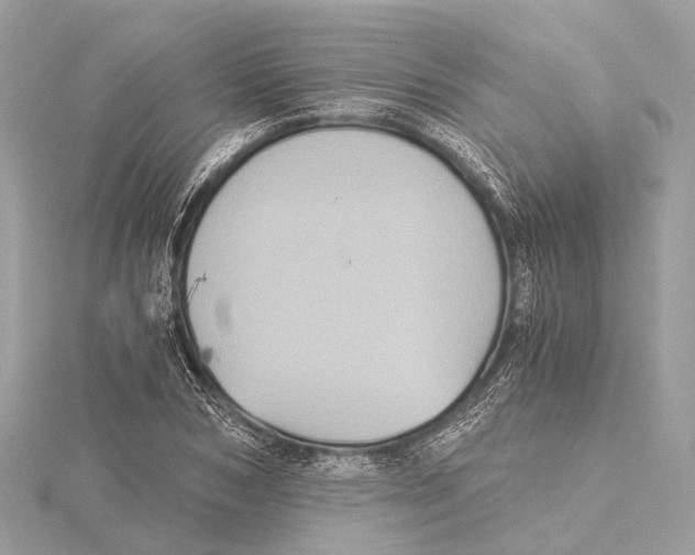 X0000115410978200912011222