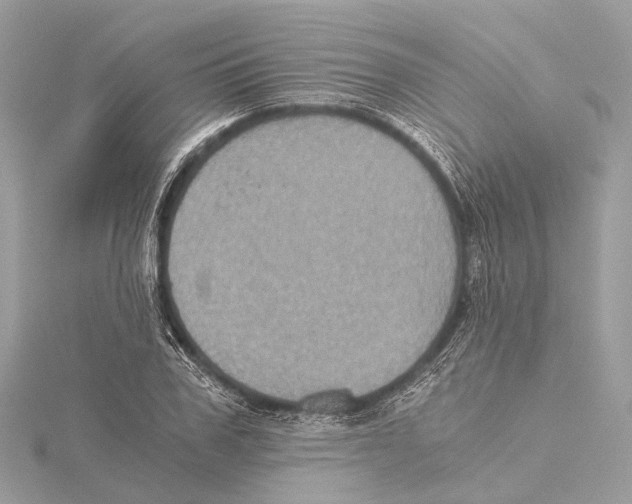 X0000115410979200912011222