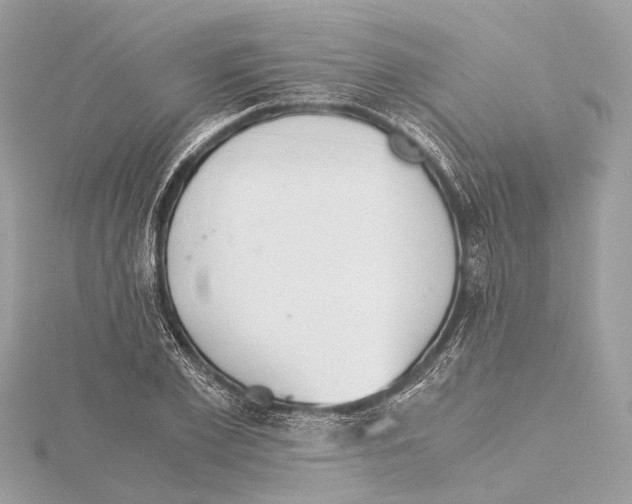 X0000115410981200912011222