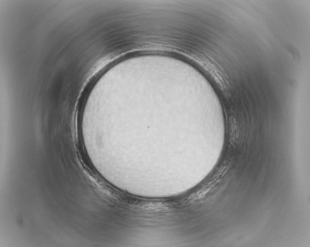 X0000115410982200912011222