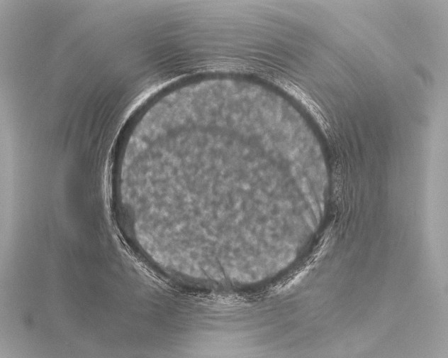 X0000115410983200912011222