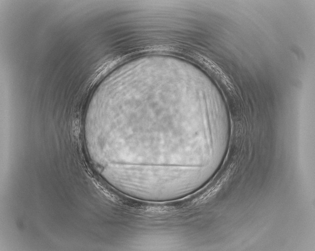 X0000115410985200912011222