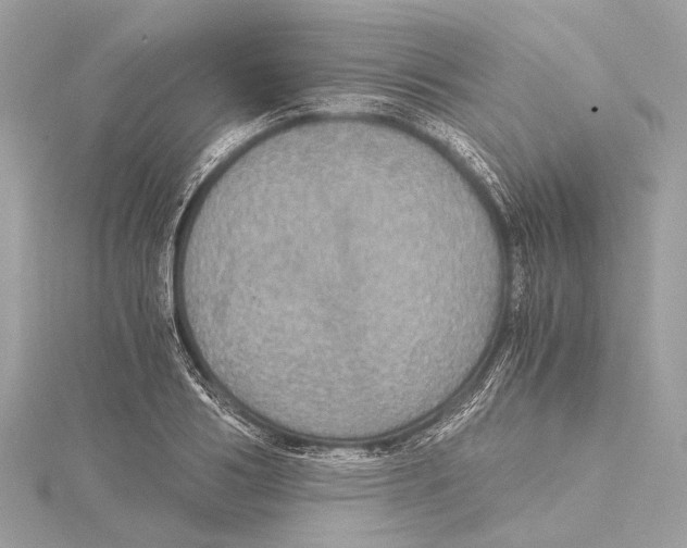 X0000115410986200912011222