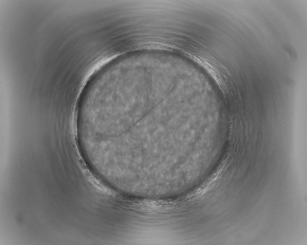 X0000115410987200912011222