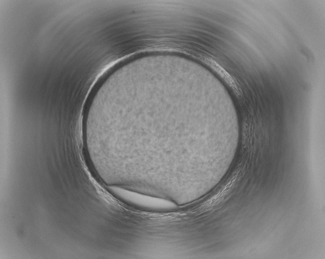 X0000115410988200912011222