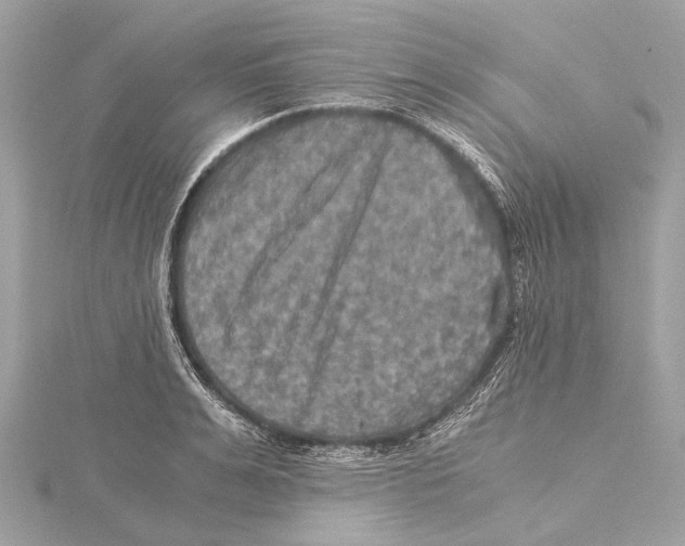 X0000115410991200912011222