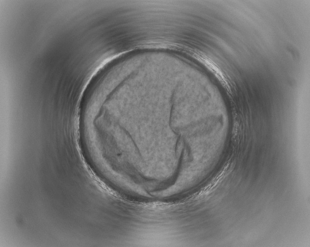 X0000115410992200912011222