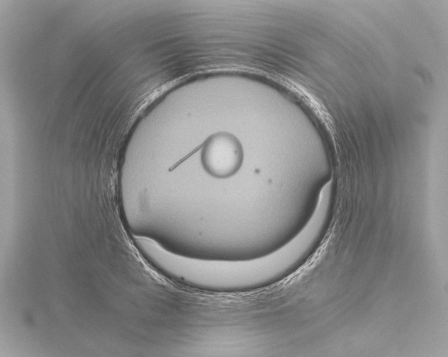 X0000115410993200912011222