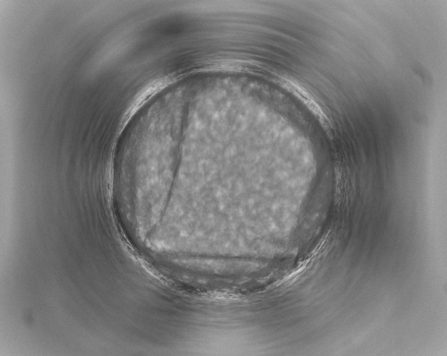 X0000115410994200912011222