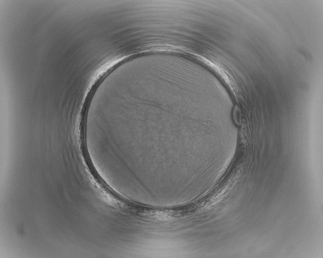 X0000115410995200912011222