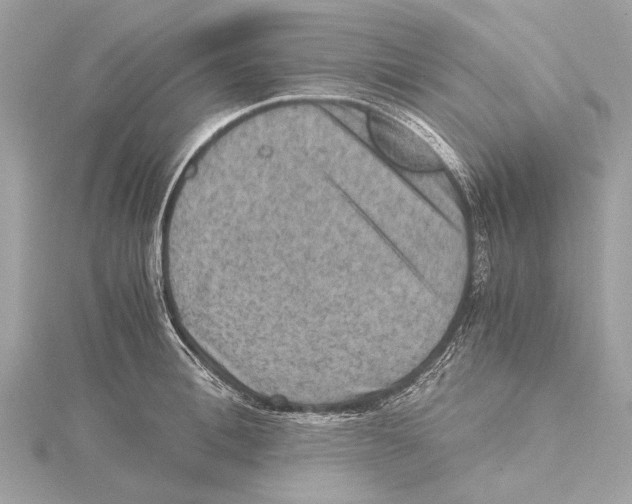 X0000115410996200912011222