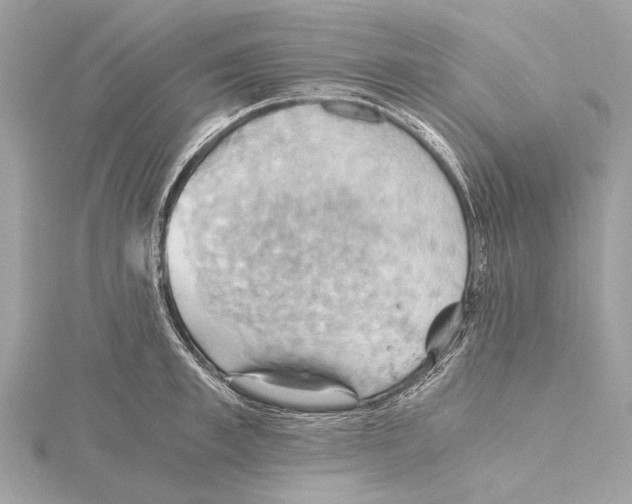 X0000115410997200912011222