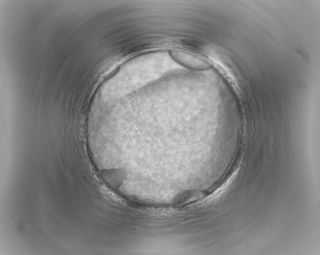 X0000115411001200912011222