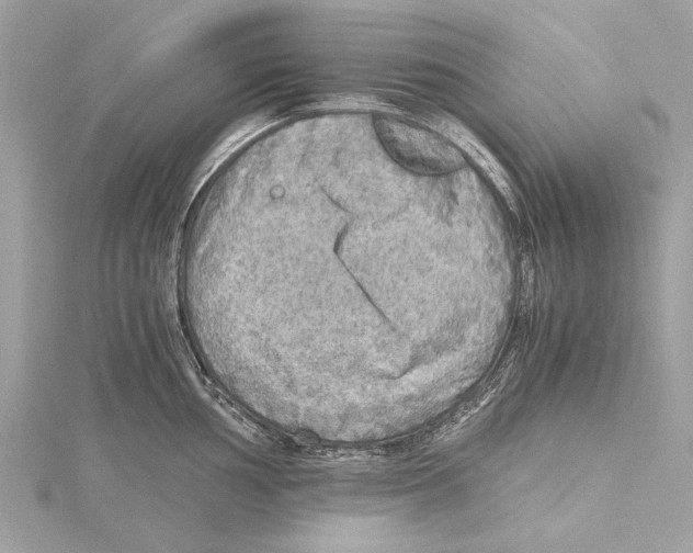 X0000115411002200912011222