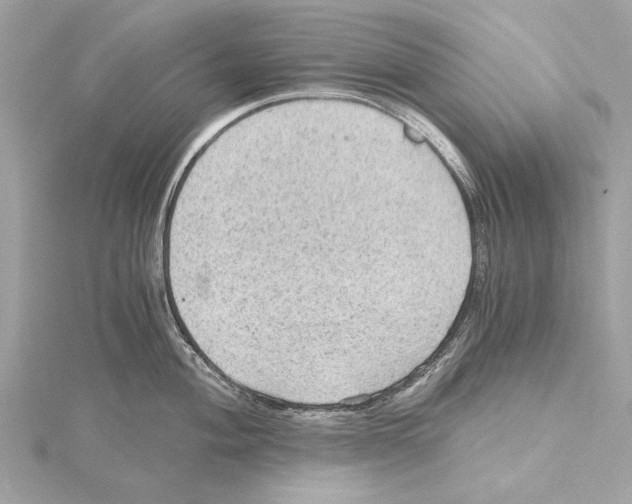 X0000115411004200912011222