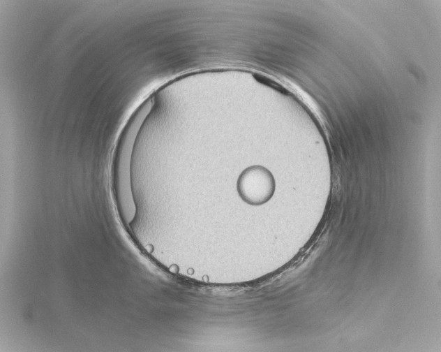 X0000115411005200912011222