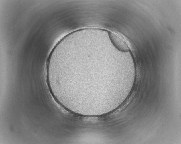 X0000115411006200912011222