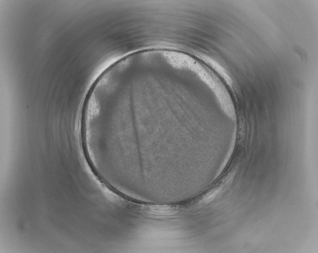 X0000115411007200912011222